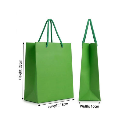 Gift Gloss Bag - Green Colour - 23X18X10Cm