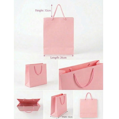 Gift Gloss Bag - Light Pink Colour Plane - 32X26X12Cm