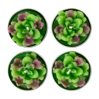 Succulent Plant Shaped Party Favor Candle - Box Of 4 Pcs