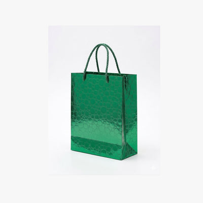 Gift Gloss Bag Metallic Green Colour 25X20X9 Cm