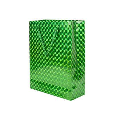 Gift Bag 3D Design Green Colour 30X25X9 Cm