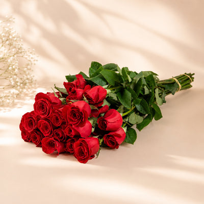 Red Roses Wholesale