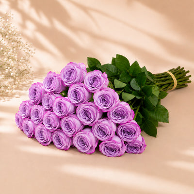 Purple Roses Wholesale