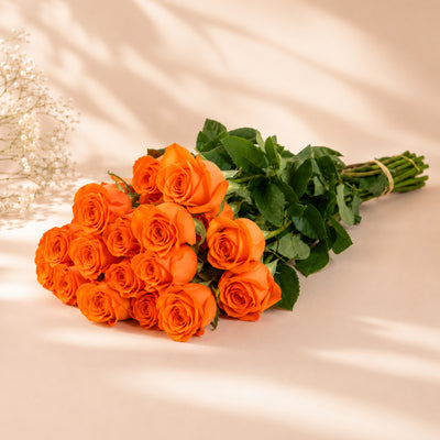 Orange Roses Wholesale
