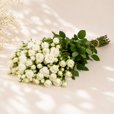 White Baby Roses Wholesale