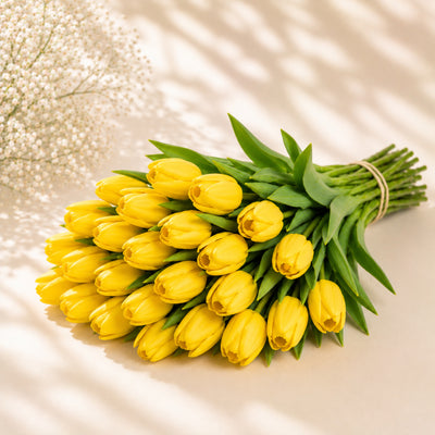 Yellow Tulip Wholesale
