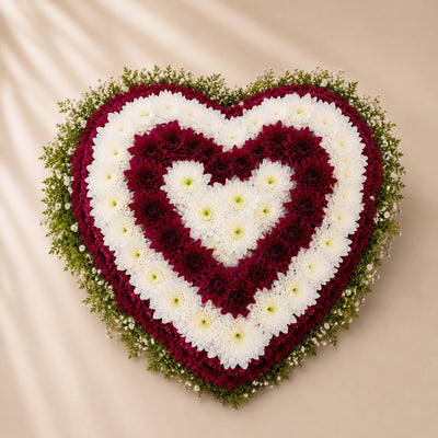 Premium White & Burgundy Chrysanthemum Heart Arrangement