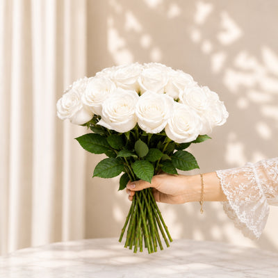 White Roses Wholesale - 25 Stems