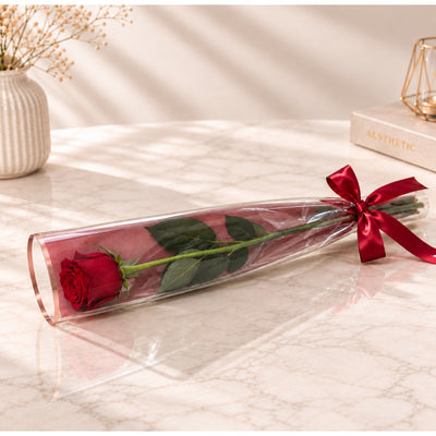 Elegant Single Red Rose Gift Wrap With Satin Ribbon