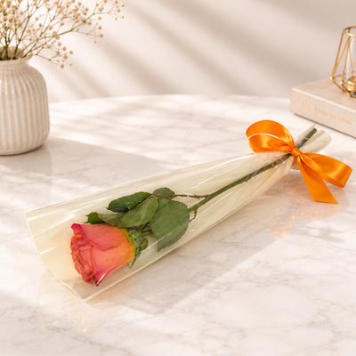 Elegant Single Orange Rose Gift Wrap With Orange Satin Ribbon