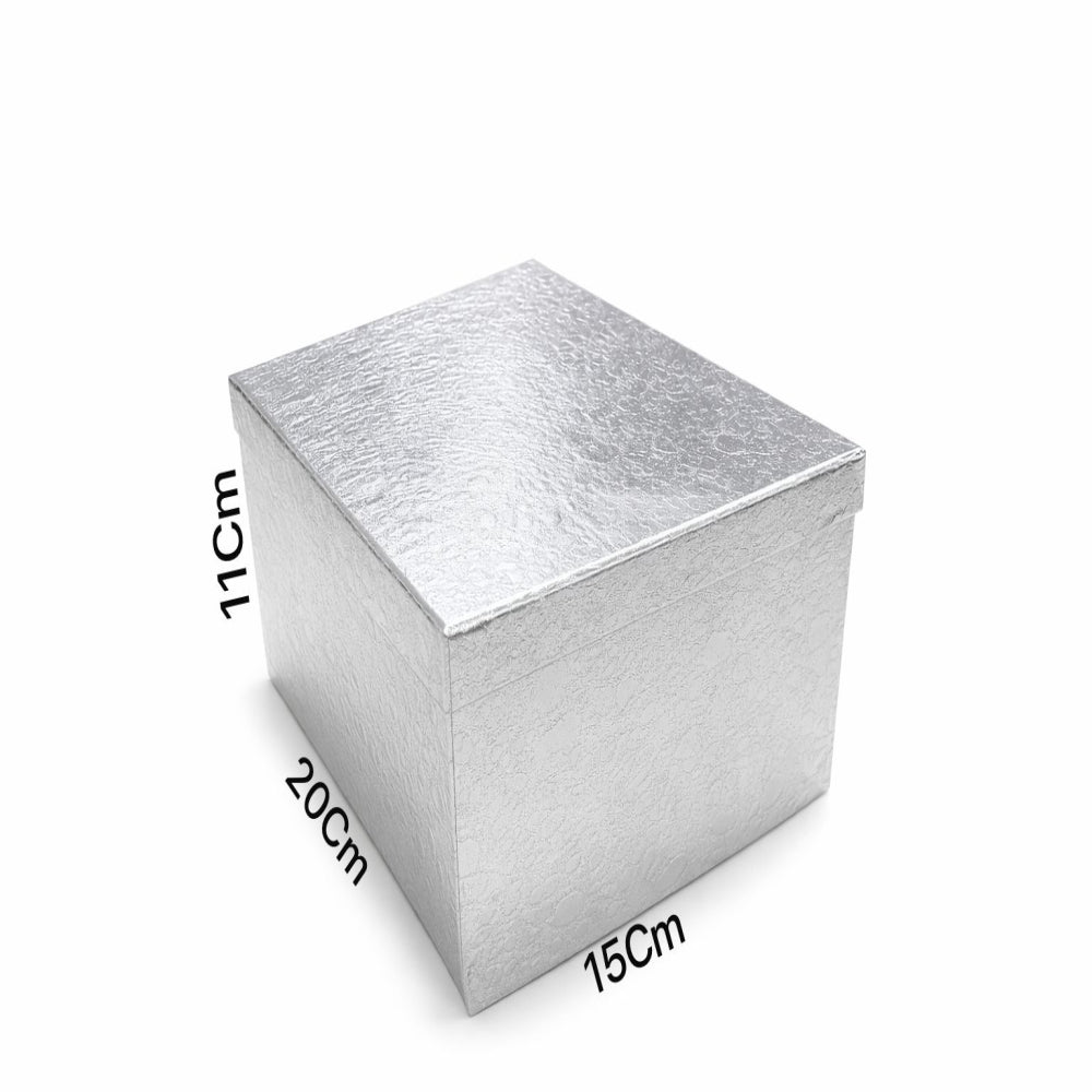 Gift Box Silver Colour -Medium - 20X11X15Cm