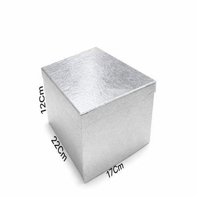 Gift Box Silver Colour -Large - 22X12X17Cm