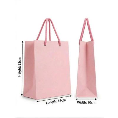 Gift Gloss Bag - Light Pink Colour Plane - 23X18X10Cm