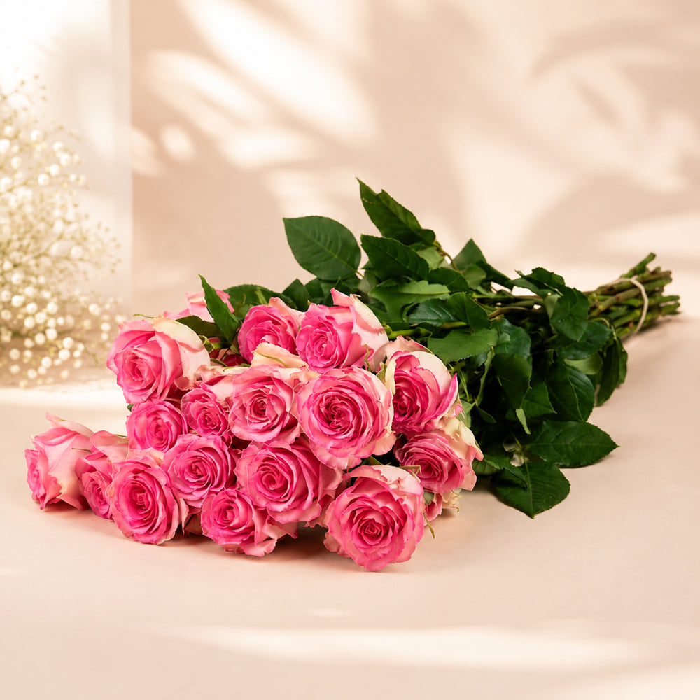 Pink Roses Wholesale