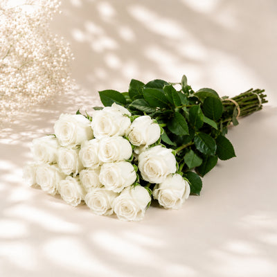 White Roses Wholesale