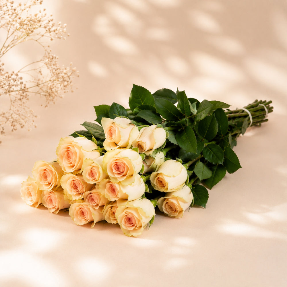 Off-White Roses Wholesale
