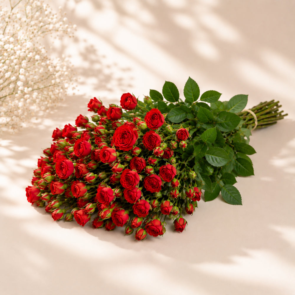 Red Baby Roses Wholesale