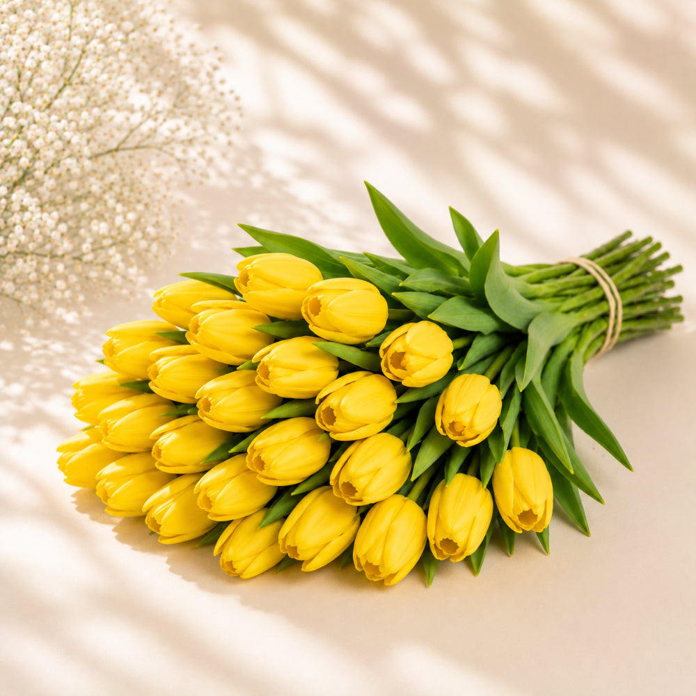 Yellow Tulip Wholesale