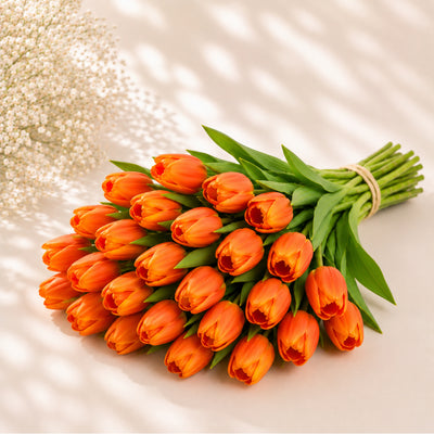 Orange Tulip Wholesale