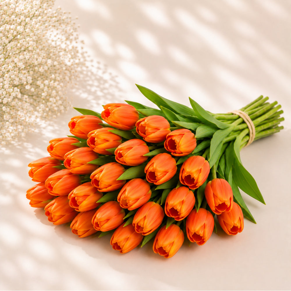 Orange Tulip Wholesale