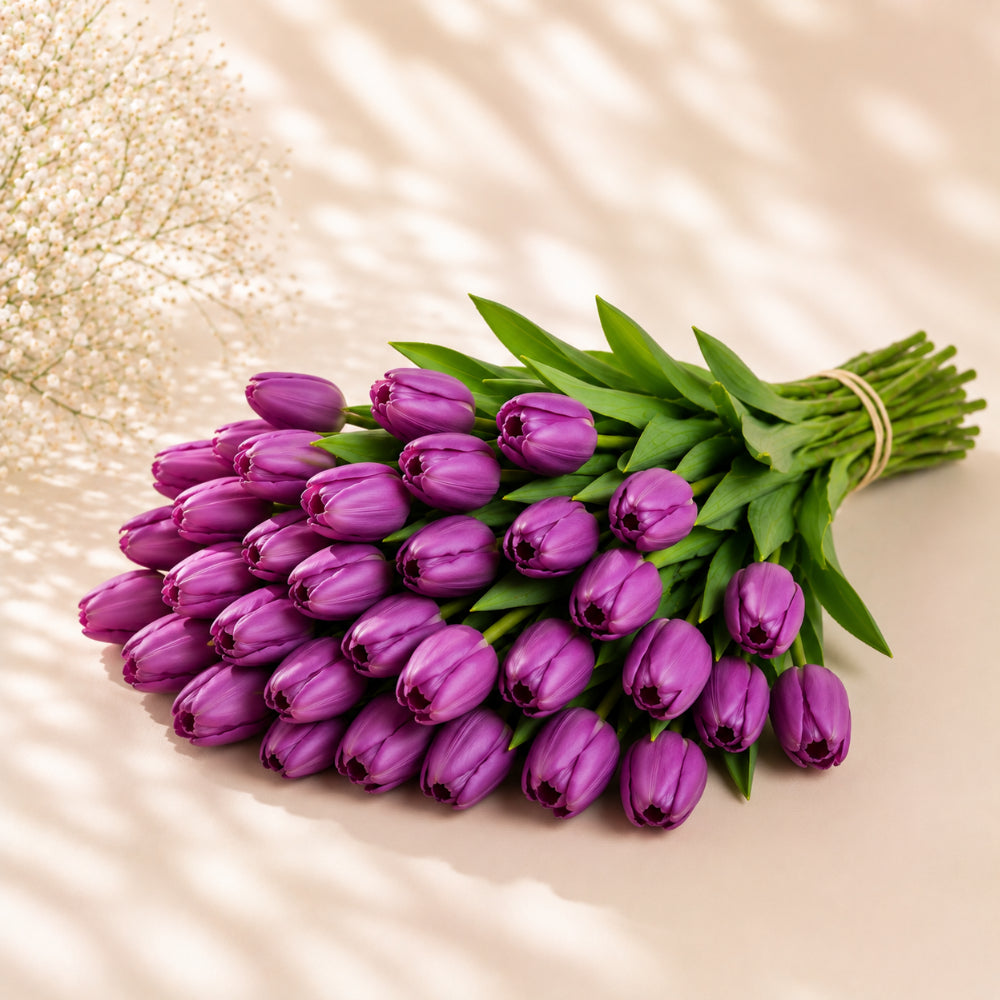 Purple Tulip Wholesale