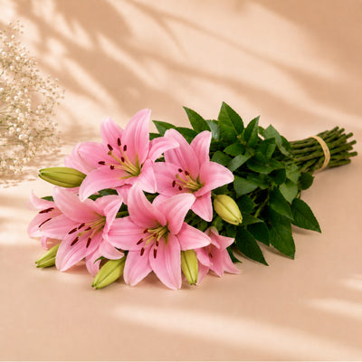 Pink Lily Wholesale