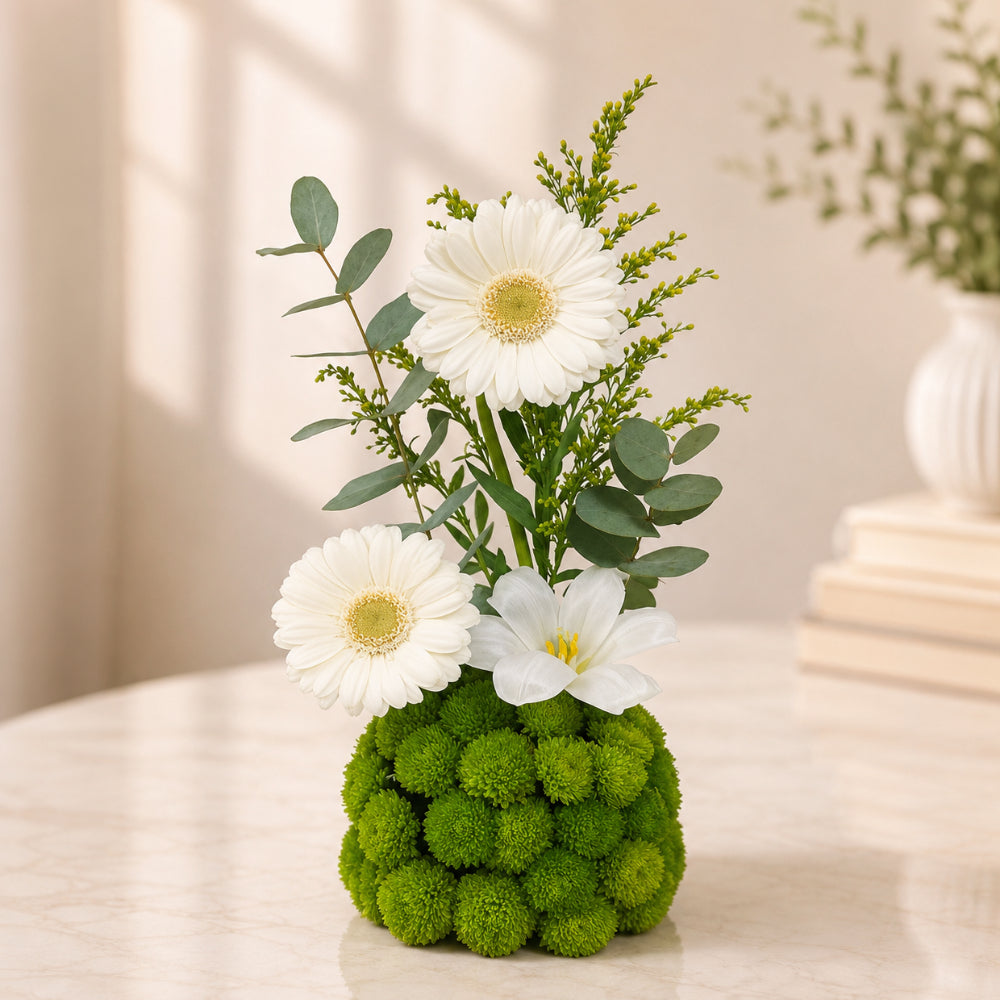 White Gerbera & Green Chrysanthemum Floral Arrangement