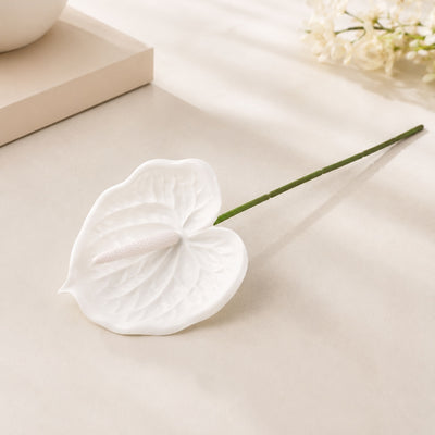 Artificial White Anthurium - 1 Stem