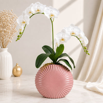 White Orchid Flower Vase Arrangement